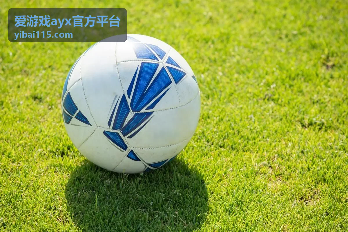 爱游戏ayx官方平台游戏资讯中的新游开测观察栏目