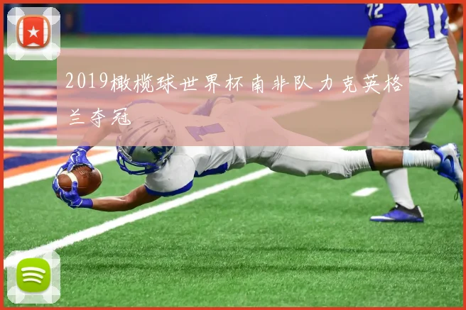 2019橄榄球世界杯南非队力克英格兰夺冠