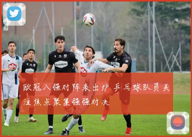 欧冠八强对阵表出炉 乒乓球队员关注焦点聚集强强对决