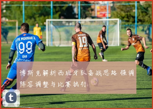 博斯克解析西班牙队备战思路 强调阵容调整与比赛执行