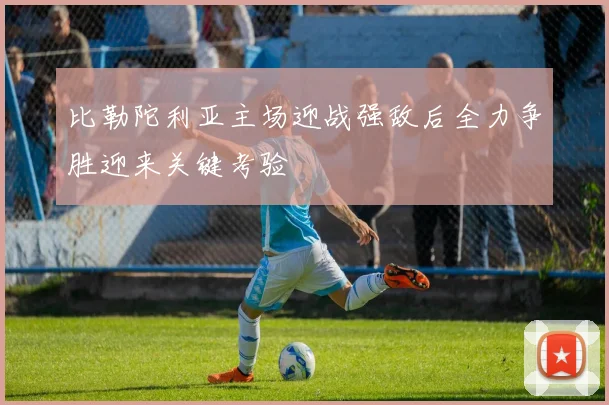 比勒陀利亚主场迎战强敌后全力争胜迎来关键考验