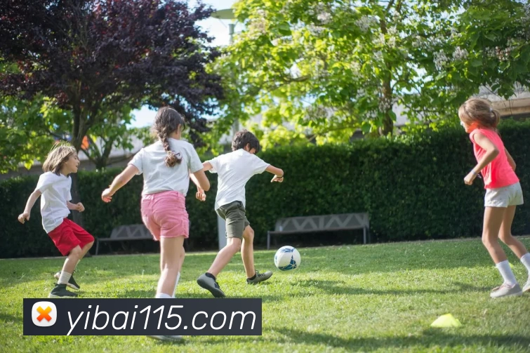 App Interface Preview